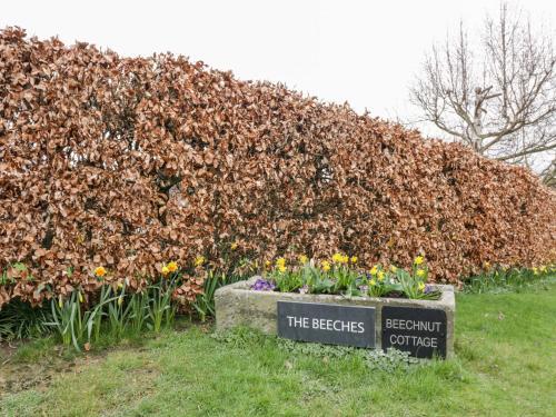 Beechnut Cottage