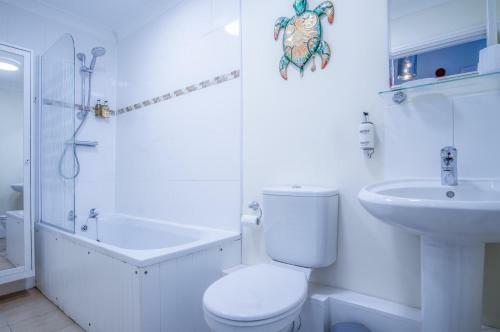 Flint House - 2 Bedroom Apartment - Tenby