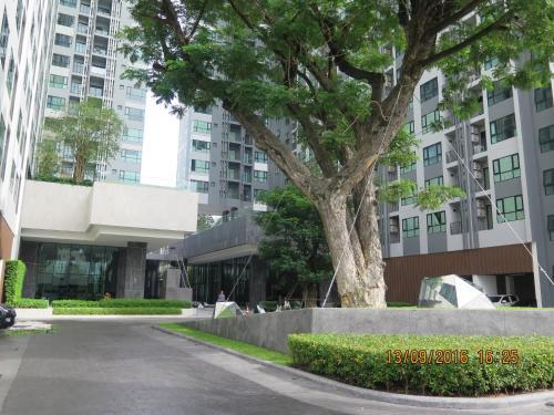 Central Pattaya Near Hilton 1 Br Poolseaview 8