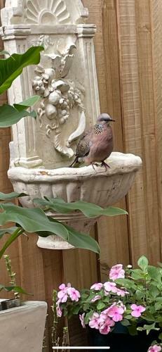 Bed & Breakfast Emmanuel House Bnb