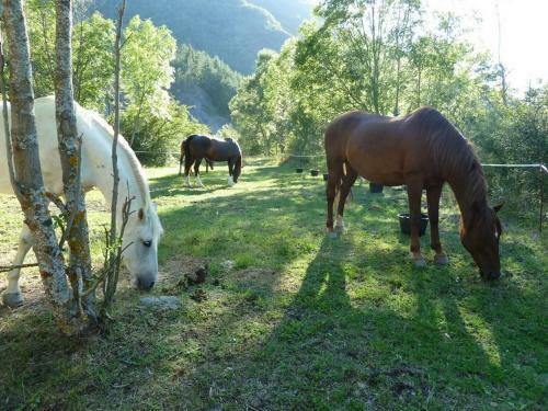 Hostal Gite Des Monges