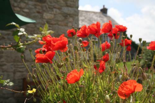 Gadles Farm Cottages