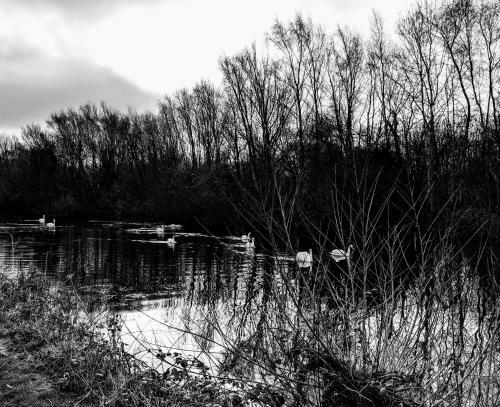 Moss Tarn