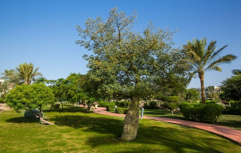Hotel Oriental Resort