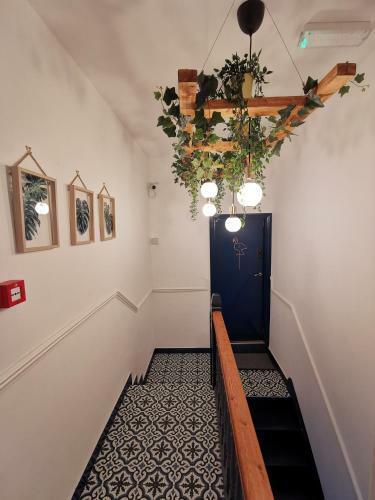 Hostal Flamingo Lodge