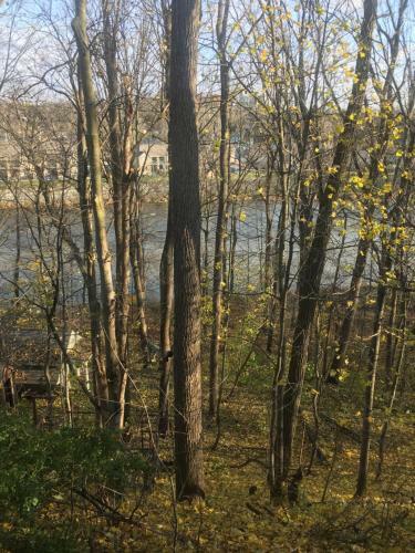 Apartamento The Carriage House Flat - Downtown Paris Canada