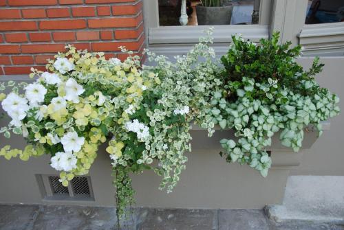 Bed & Breakfast Demeure Des Buis