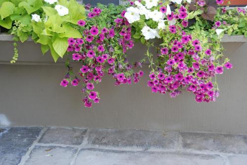 Bed & Breakfast Demeure Des Buis