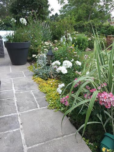 Bed & Breakfast Demeure Des Buis