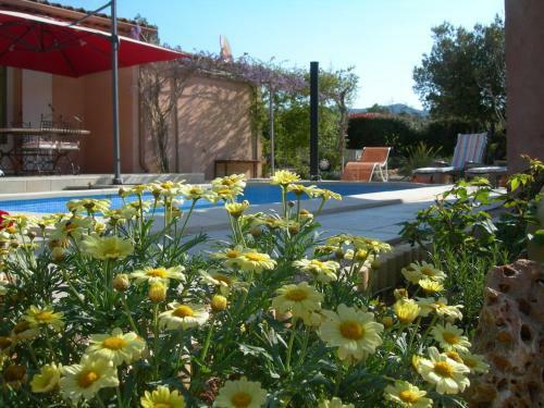 Hostal B&B Villa Les Tamaris