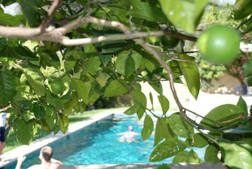 Bed & Breakfast Les Orangers