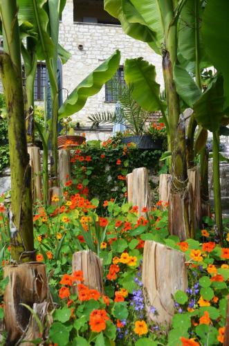 Bed & Breakfast Les Orangers