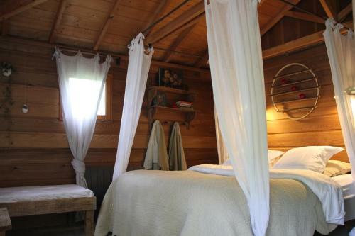 Orion Bb