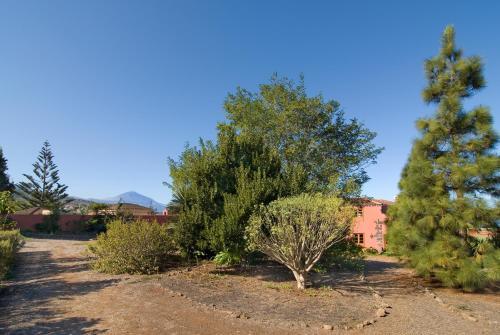 Agroturismo Casa Rural El Adelantado