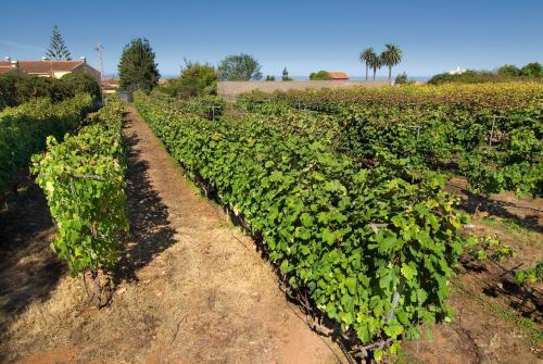 Agroturismo Casa Rural El Adelantado