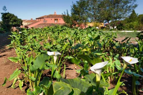 Agroturismo Casa Rural El Adelantado