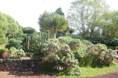 Agroturismo Casa Rural El Adelantado