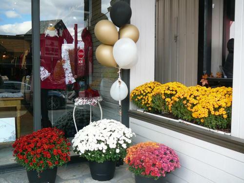 Villa Merci � La Vie! Thanks To Life!