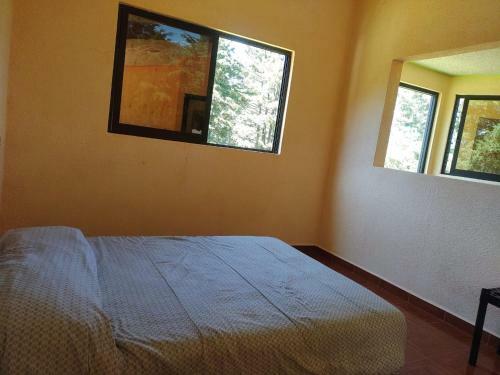 Casa Del Bosque_tendaro