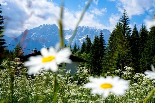 Apartamento Haus Alpengluehn