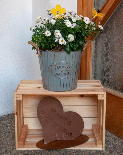 Apartamento Ferienwohnung Illy