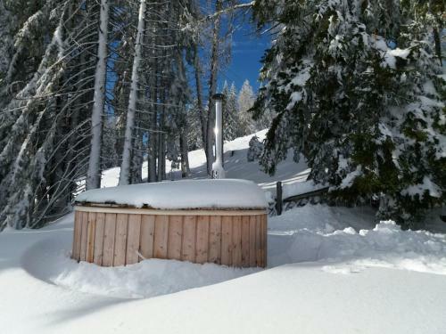 Chalet Petit