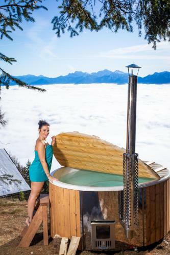 Chalet Petit