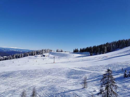 Panorama Apartment Gerlitzen