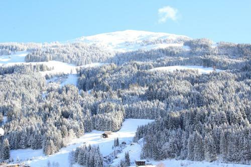 Apartment "k�nstlh�usl"