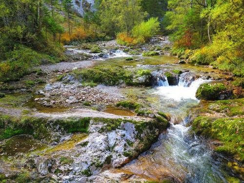 G�stehaus Wasserburger