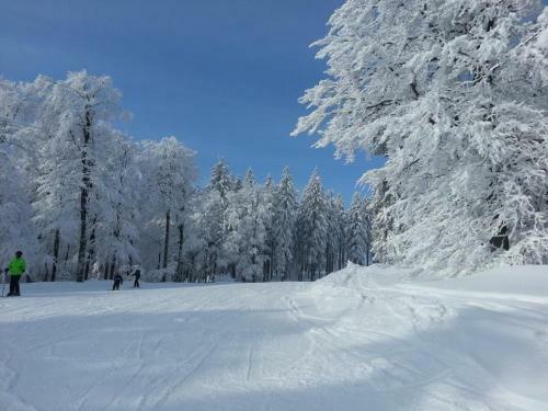 Hostal B�hmerwald Pur2