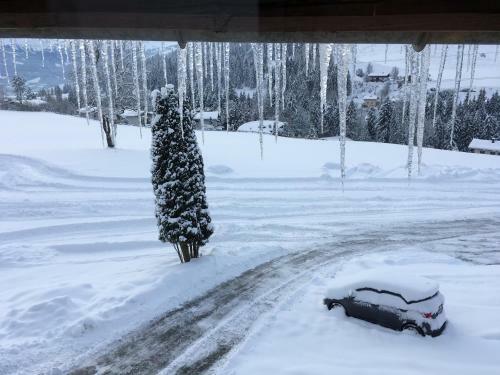 Hostal Mountain Blast