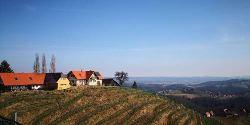 Bed & Breakfast Weingut Albert, Familie Cramer