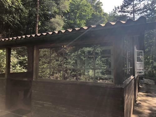 Sommerhaus Zur Eule