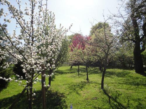 Bed & Breakfast Zeilinger Villa
