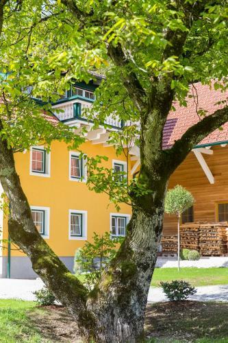 Apartamento Gut Hinterklaus