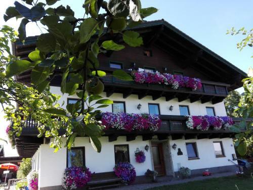 Agroturismo Schusterbauer