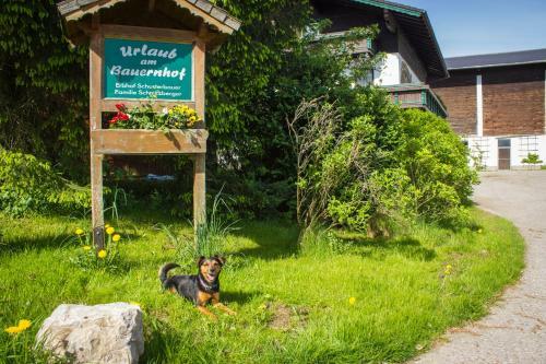 Agroturismo Schusterbauer