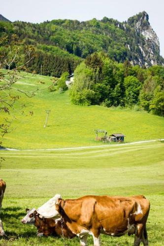 Agroturismo Schusterbauer