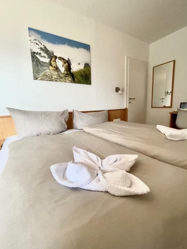 Apartamento Canisiusbr�nnl