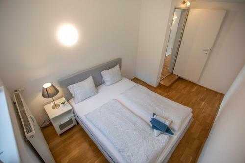 Innsbruck City Mountain View Apartment
