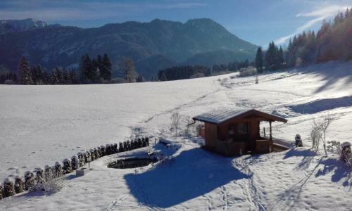 Apartamento Ferienwohnungen Fahringer Diana