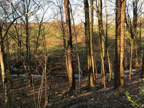 Votre Pause Arbor�e - La Cabane Enchant�e