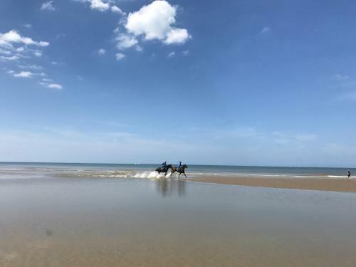 Apartamento Koksijde App Zeelaan C4