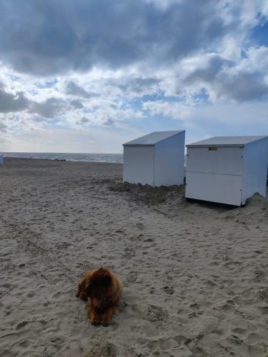 Apartamento Casino Beach