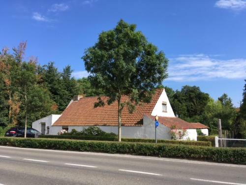 Bed & Breakfast Albatros