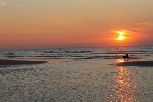 Apartamento Prinses Elisabeth