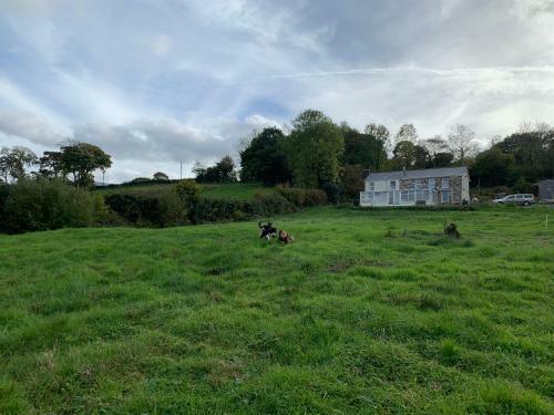 Cwtch Farm Bed & Breakfast
