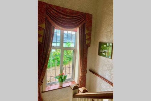Hectors House Comfortable 4 Bed House In Mature Gardens