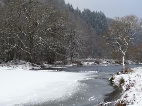 Cosy Holiday Home With Sauna Near River